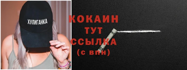 гашик Весьегонск