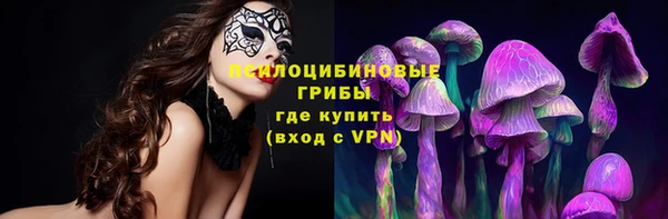apvp Мегион