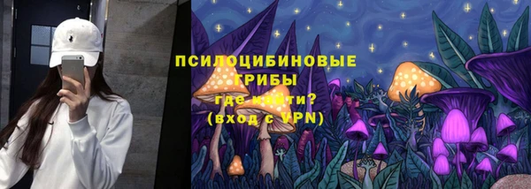 mdpv Ветлуга