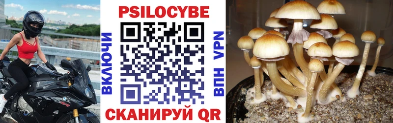 Псилоцибиновые грибы мухоморы  Купить  Ивдель 