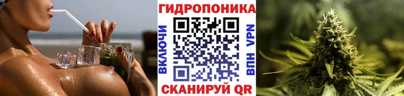 Каннабис индика Купить где Ивдель